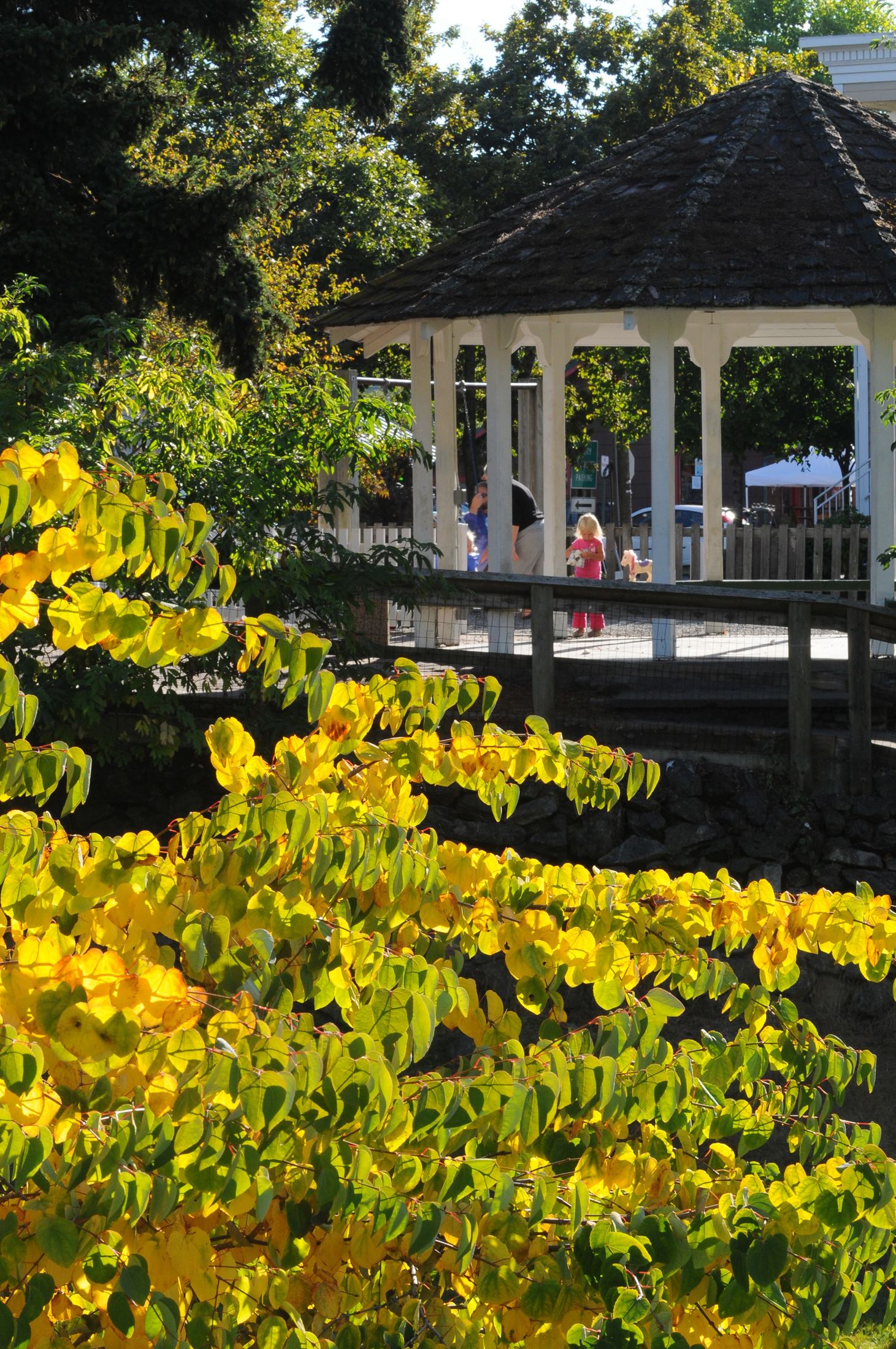 Leaves at the Gazebo